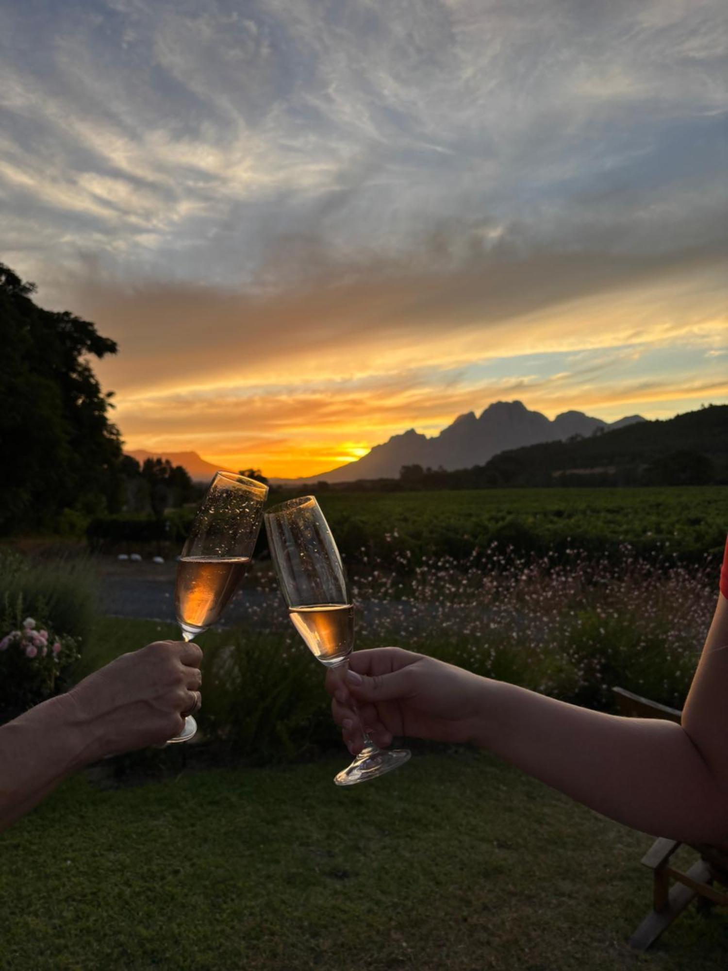 Hotel Lynx Wine Estate Franschhoek Exterior foto